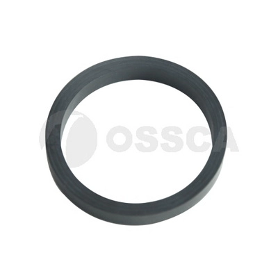 Seal Ring, charge air hose (79087)