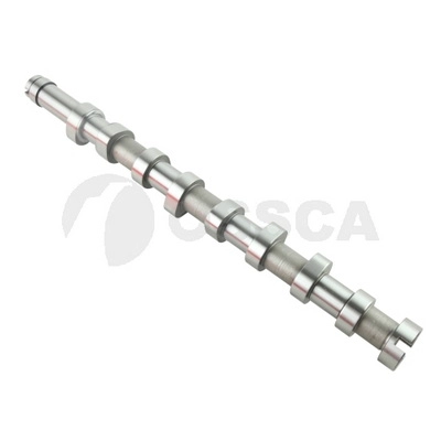 Camshaft (79030)