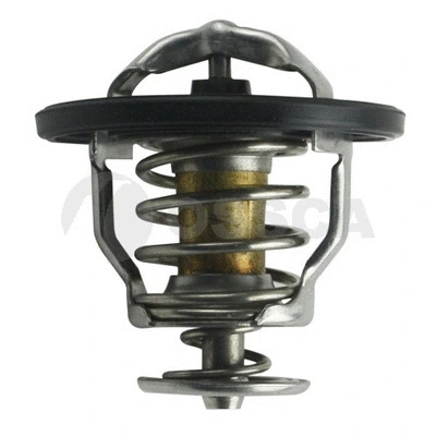 Thermostat, coolant (10550)