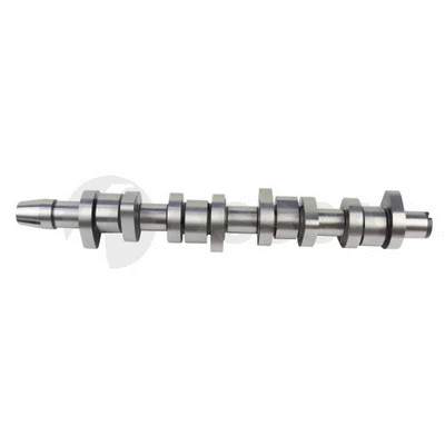 Camshaft (23456)