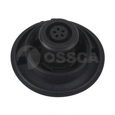 Cap, coolant tank (16973)