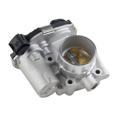 Throttle Body (41740)