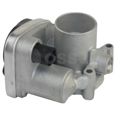 Throttle Body (16587)