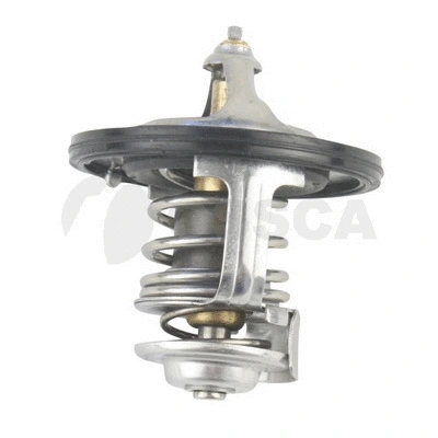 Thermostat, coolant (25713)