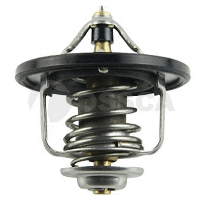 Thermostat, coolant (05415)