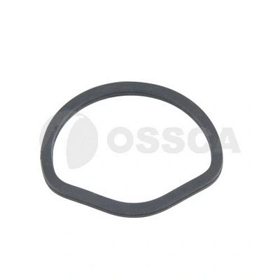 Seal Ring, oil cooler (33535)