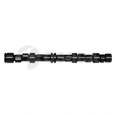 Camshaft (06936)