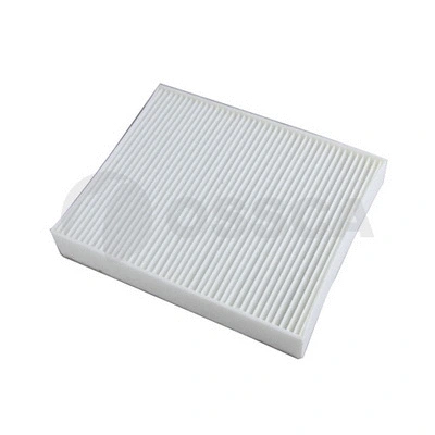 Filter, cabin air (43143)