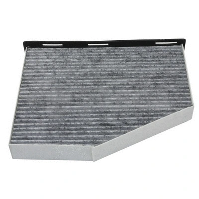 Air Filter (02868)