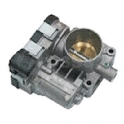Throttle Body (14306)