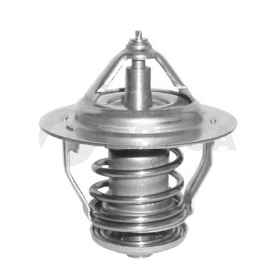 Thermostat, coolant (07675)
