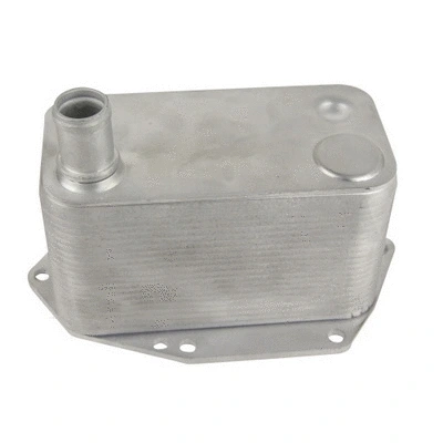 Oil Cooler, engine oil (14444)