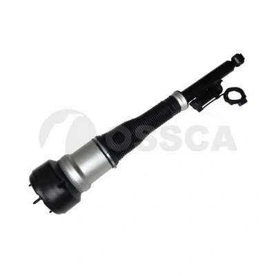 Air Suspension Strut (25931)