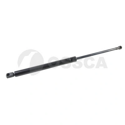 Gas Spring, boot/cargo area (10019)