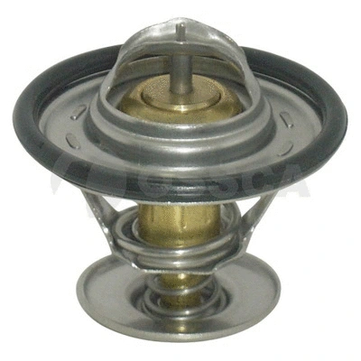 Thermostat, coolant (18546)