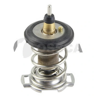 Thermostat, coolant (44029)