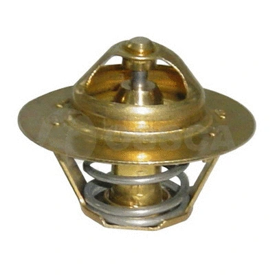 Thermostat, coolant (03893)