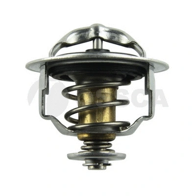 Thermostat, coolant (02621)