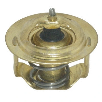 Thermostat, coolant (01162)