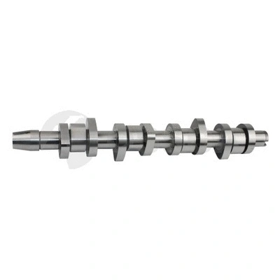 Camshaft (09208)