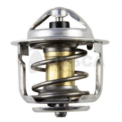 Thermostat, coolant (13477)