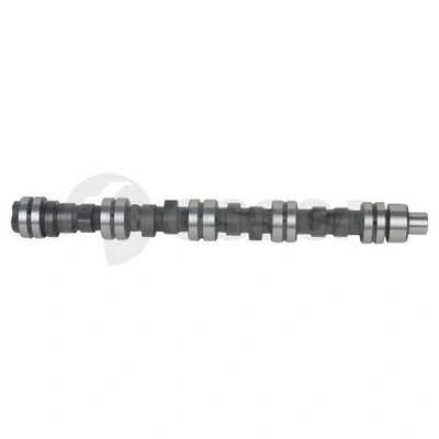 Camshaft (20388)