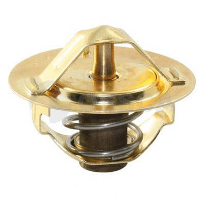 Thermostat, coolant (06424)