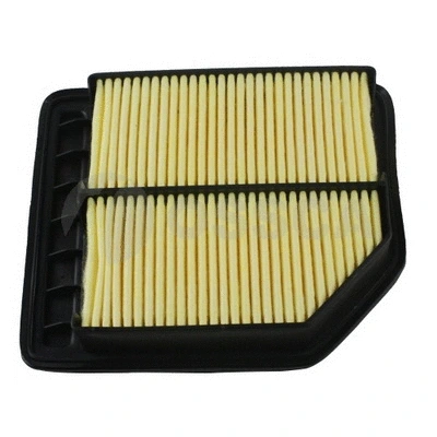 Air Filter (17602)