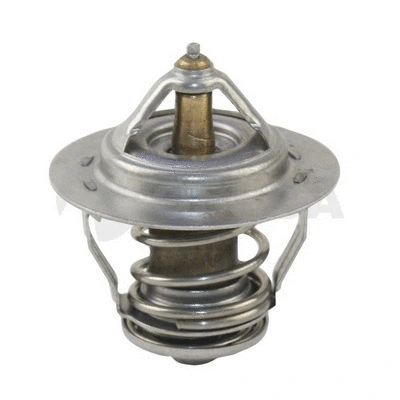 Thermostat, coolant (22386)
