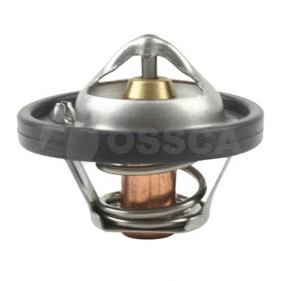 Thermostat, coolant (12844)