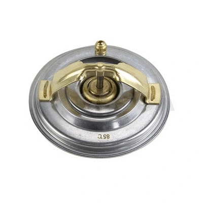 Thermostat, coolant (43831)