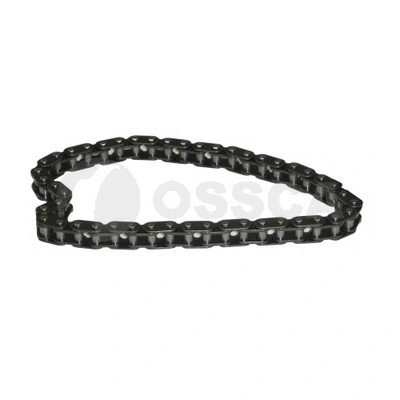 Timing Chain (09528)