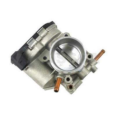Throttle Body (11445)