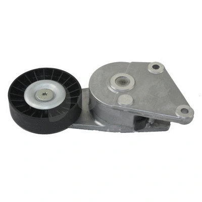Tensioner Lever, V-ribbed belt (08118)