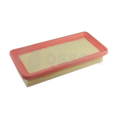 Air Filter (06855)
