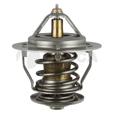Thermostat, coolant (10518)