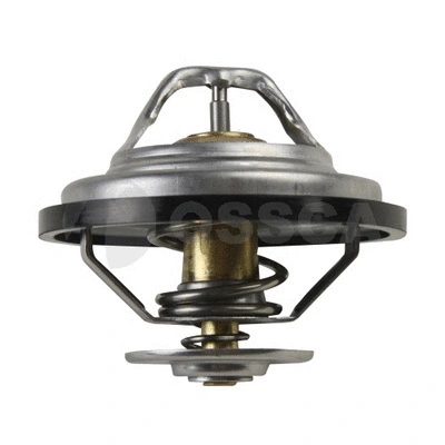 Thermostat, coolant (06933)