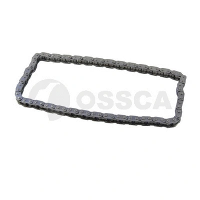 Timing Chain (12920)