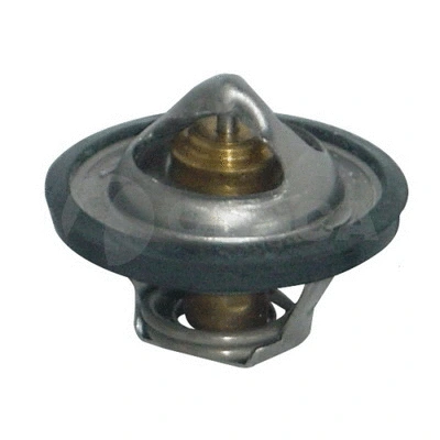 Thermostat, coolant (10234)