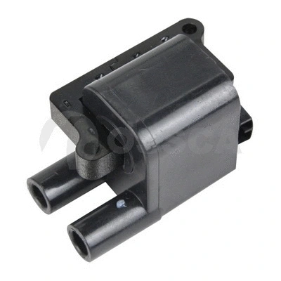Ignition Coil (22205)