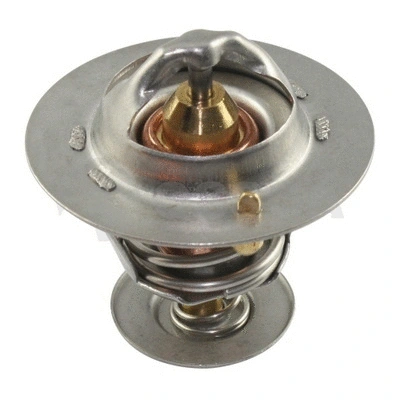 Thermostat, coolant (10573)