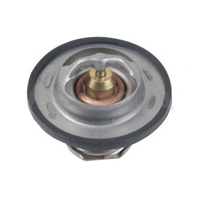 Thermostat, coolant (64593)