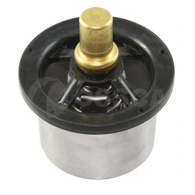 Thermostat, coolant (12196)