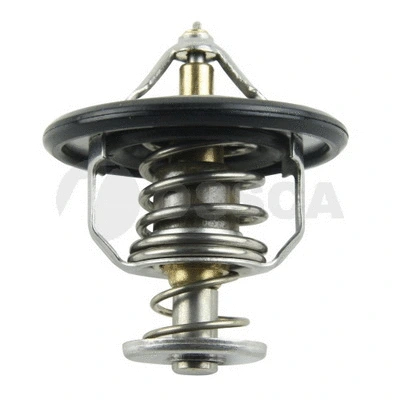 Thermostat, coolant (11009)