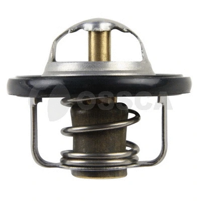 Thermostat, coolant (21153)
