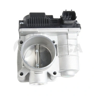 Throttle Body (42498)