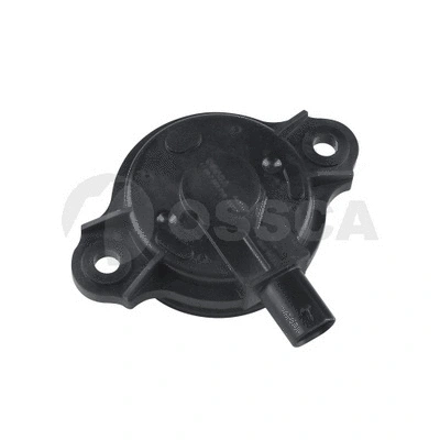 Central Magnet, camshaft adjustment (54376)