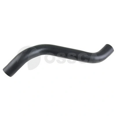 Radiator Hose (42567)