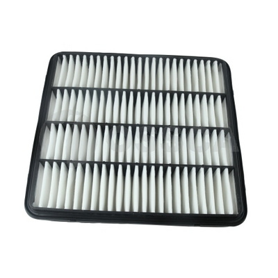 Air Filter (77791)