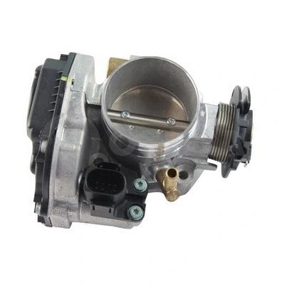 Throttle Body (12897)